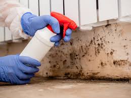 Best Mold Remediation for Healthcare Facilities  in Enterprise, UT